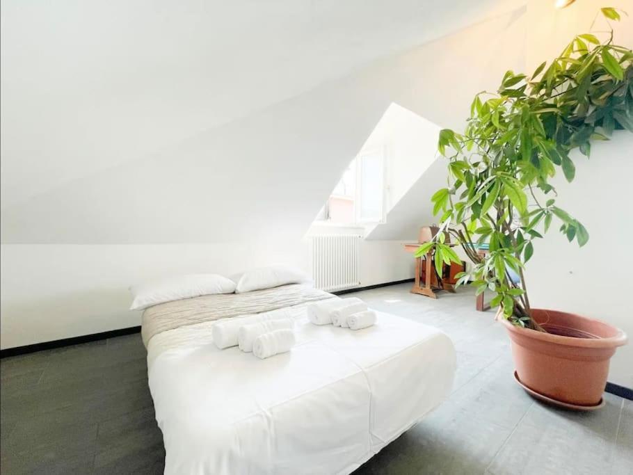 Ferienwohnung Mansarda Vista Mare A Zinola Savona Exterior foto
